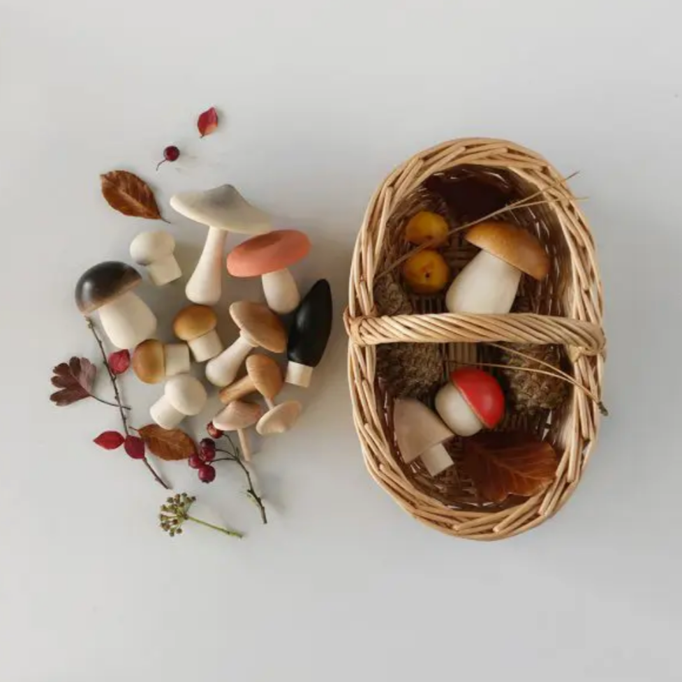 Forest Mushrooms Basket