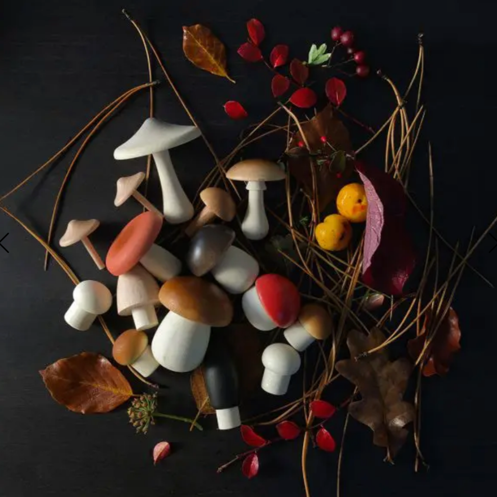 Forest Mushrooms Basket