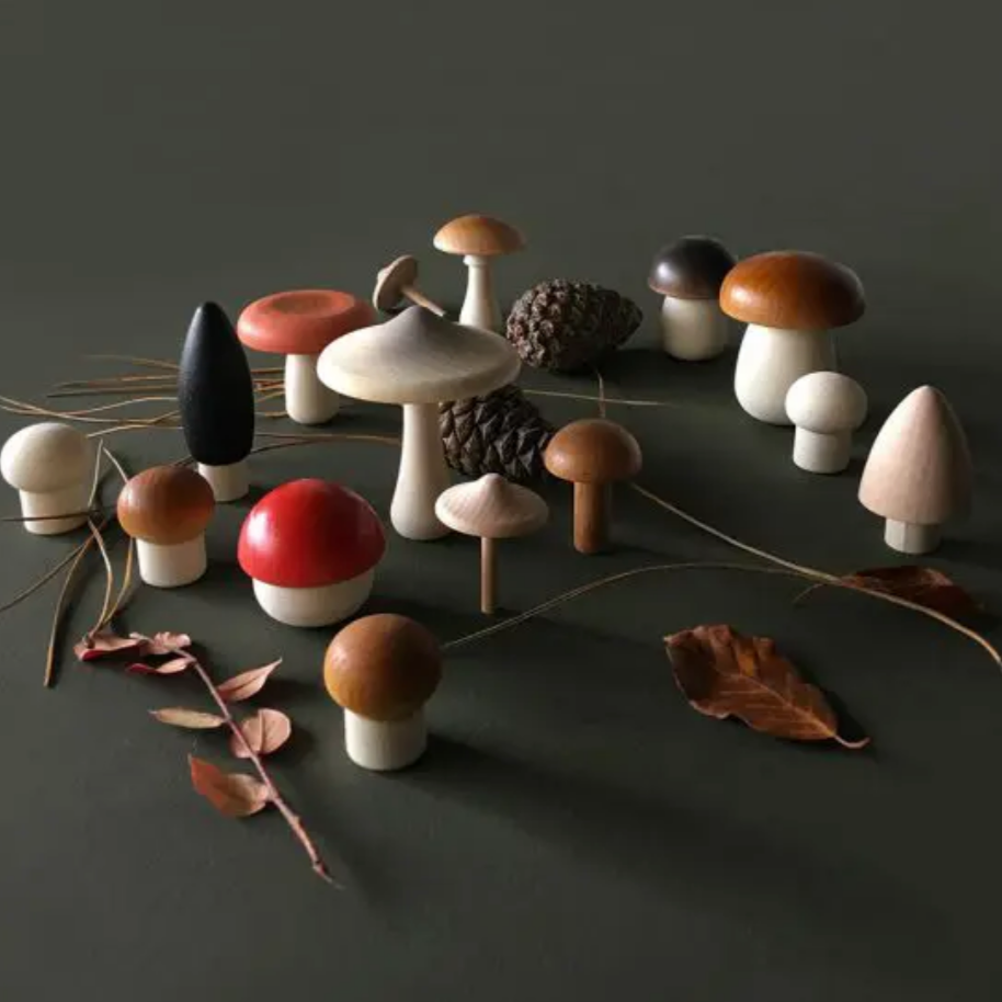 Forest Mushrooms Basket