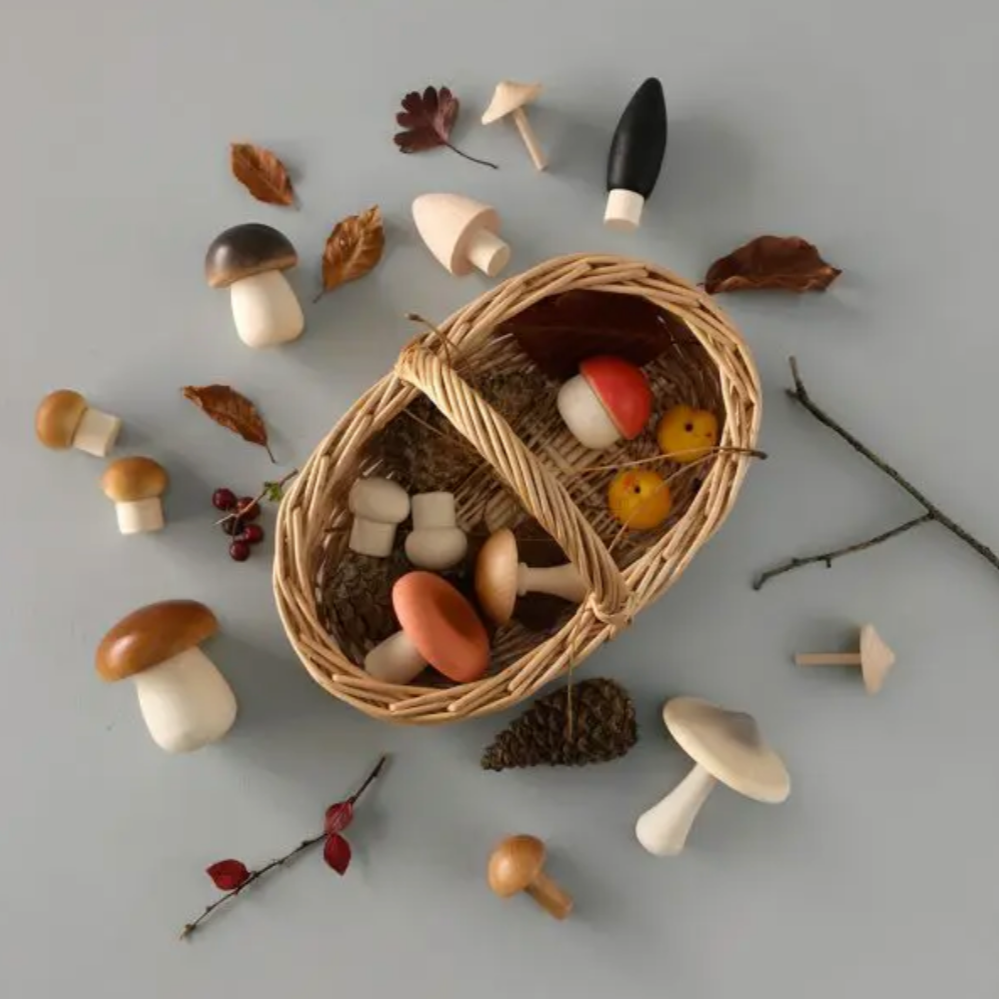 Forest Mushrooms Basket