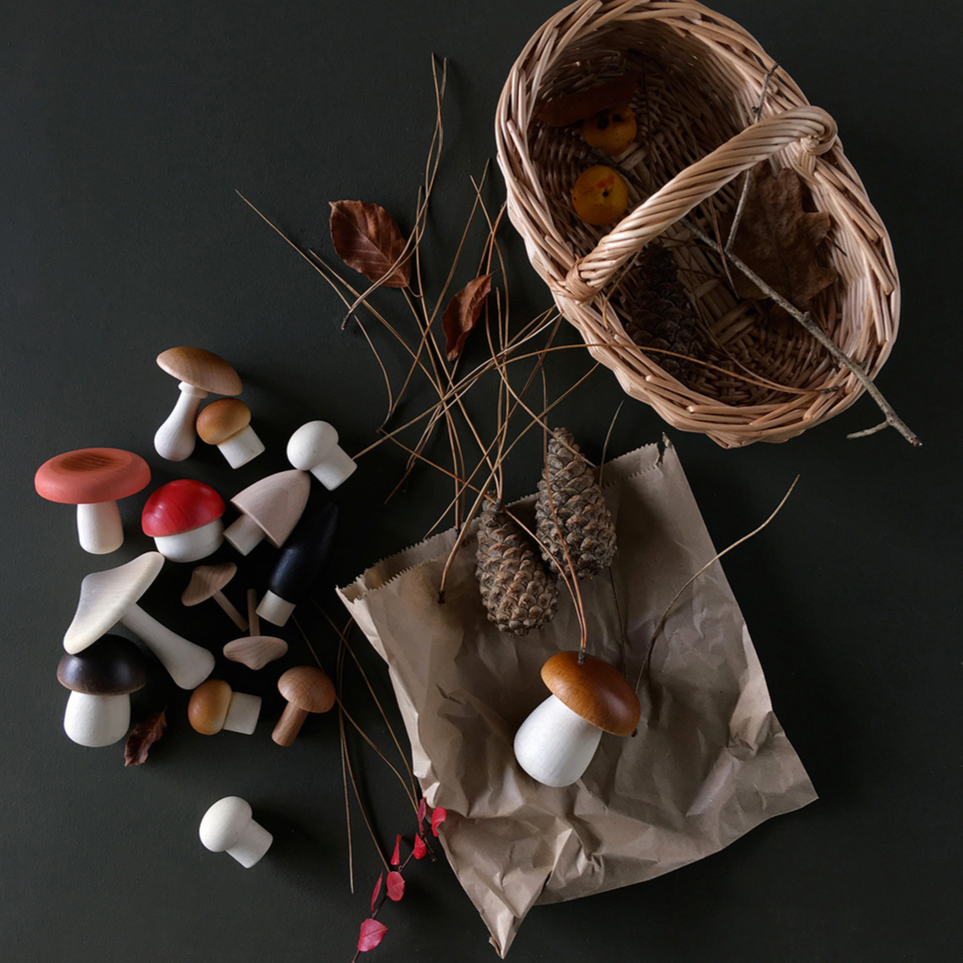 Forest Mushrooms Basket
