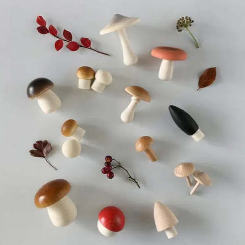 Forest Mushrooms Basket