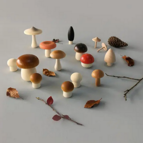 Forest Mushrooms Basket