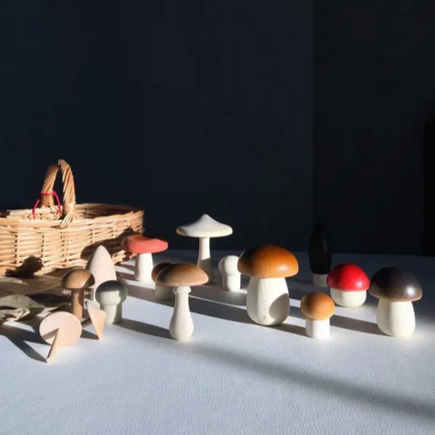 Forest Mushrooms Basket