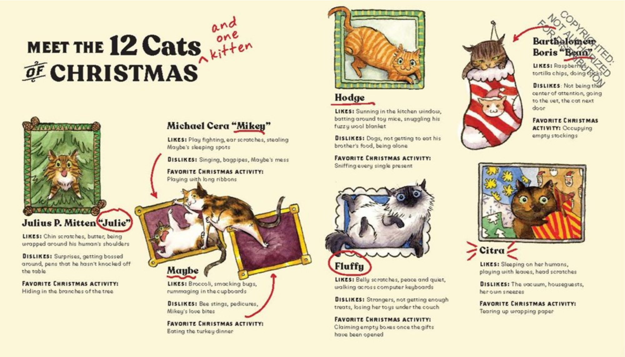 The Twelve Cats of Christmas
