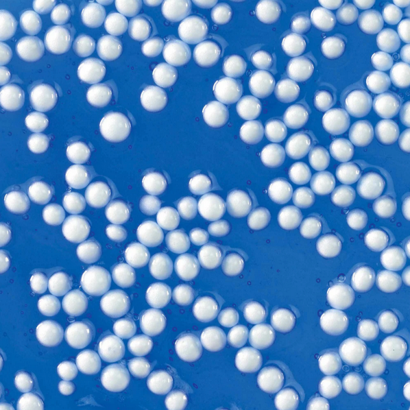 Crackle'n Kracken Putty (poopp'n)