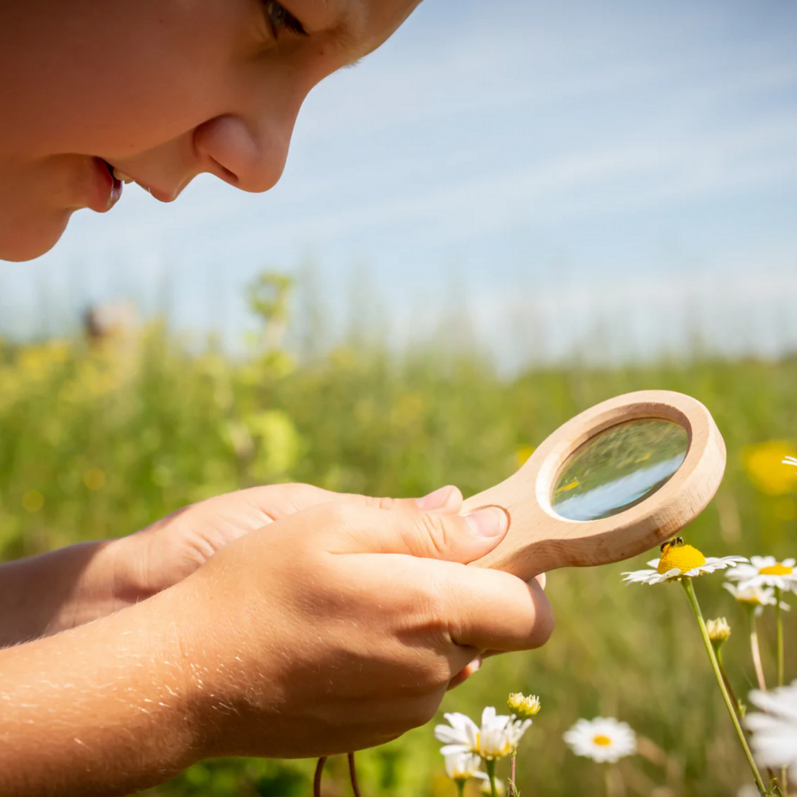 Huckleberry Dual Magnifier