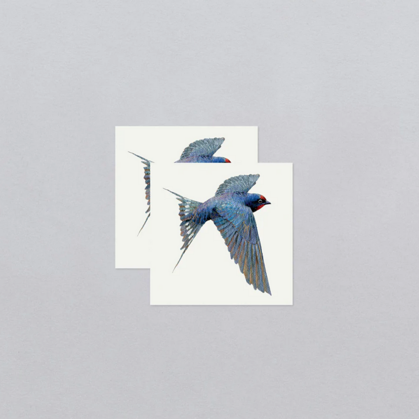 Bluebird Tattoo Pair