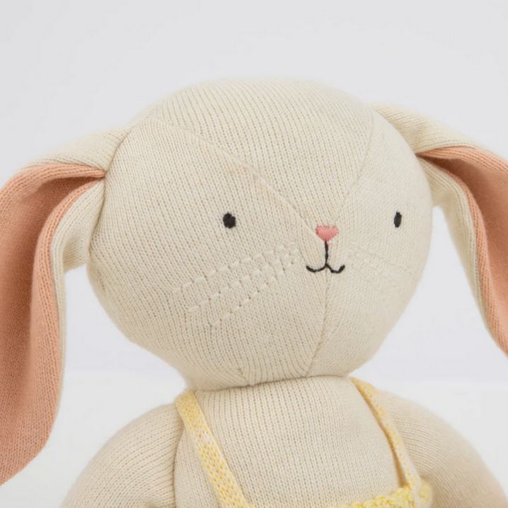 Organic Bunny With Carrot