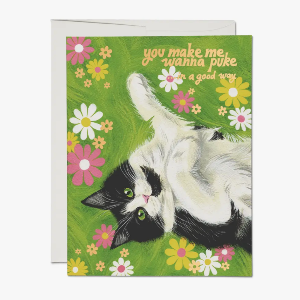 Nice Kitty