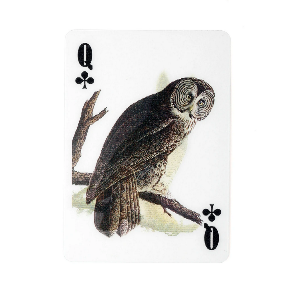 3-D Bird Playing Cards