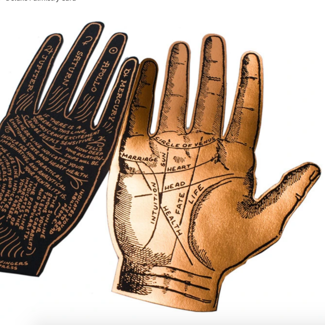 Deluxe Palmistry Card