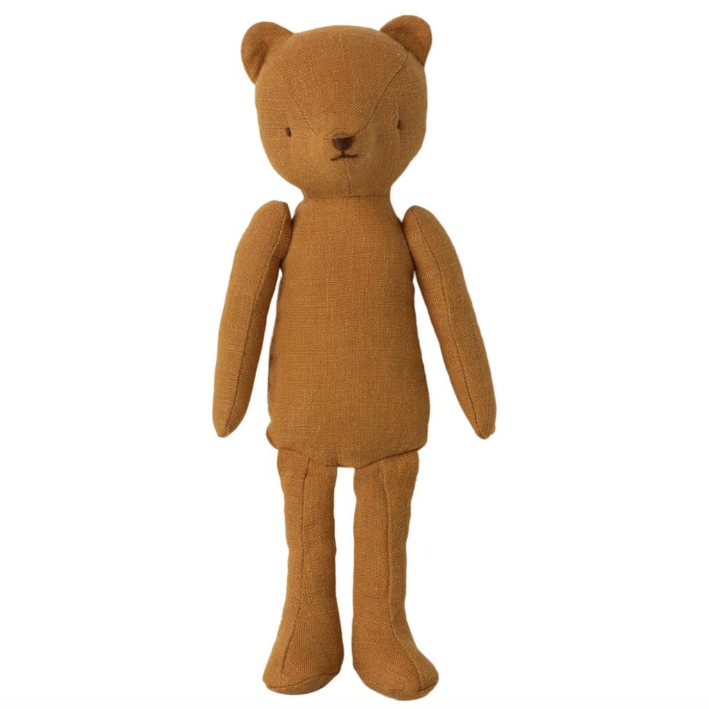 bear standing