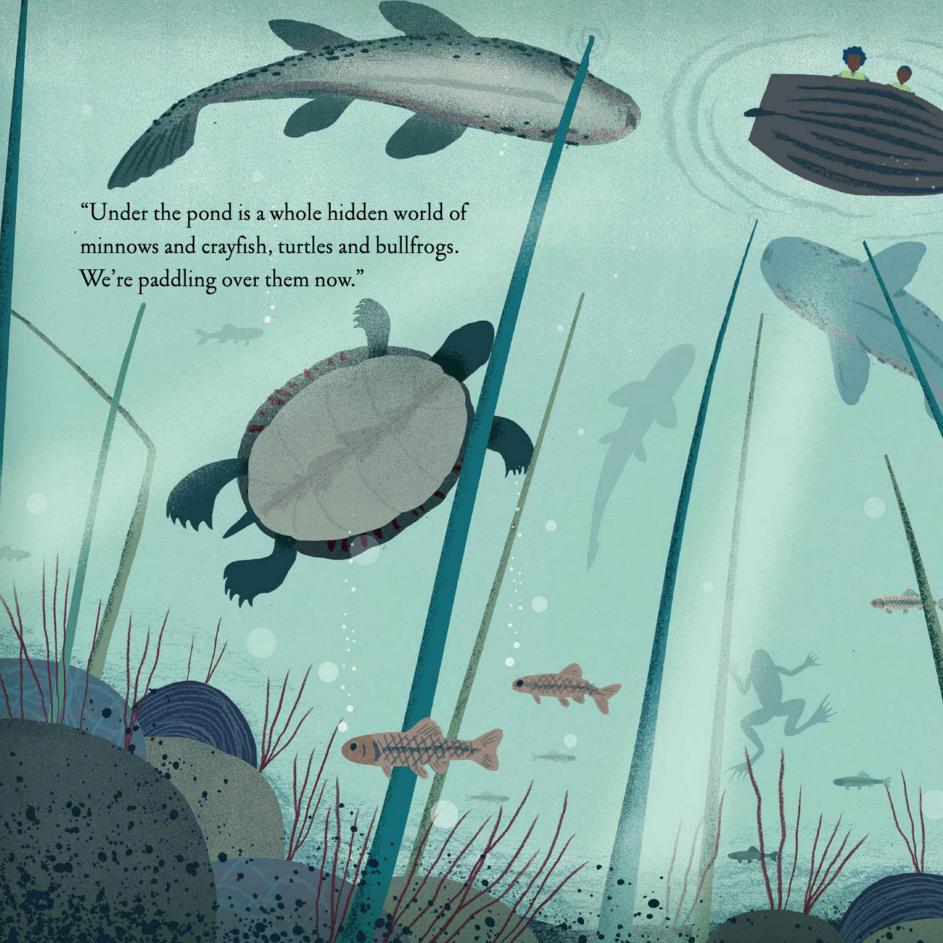 turtle and fish under water