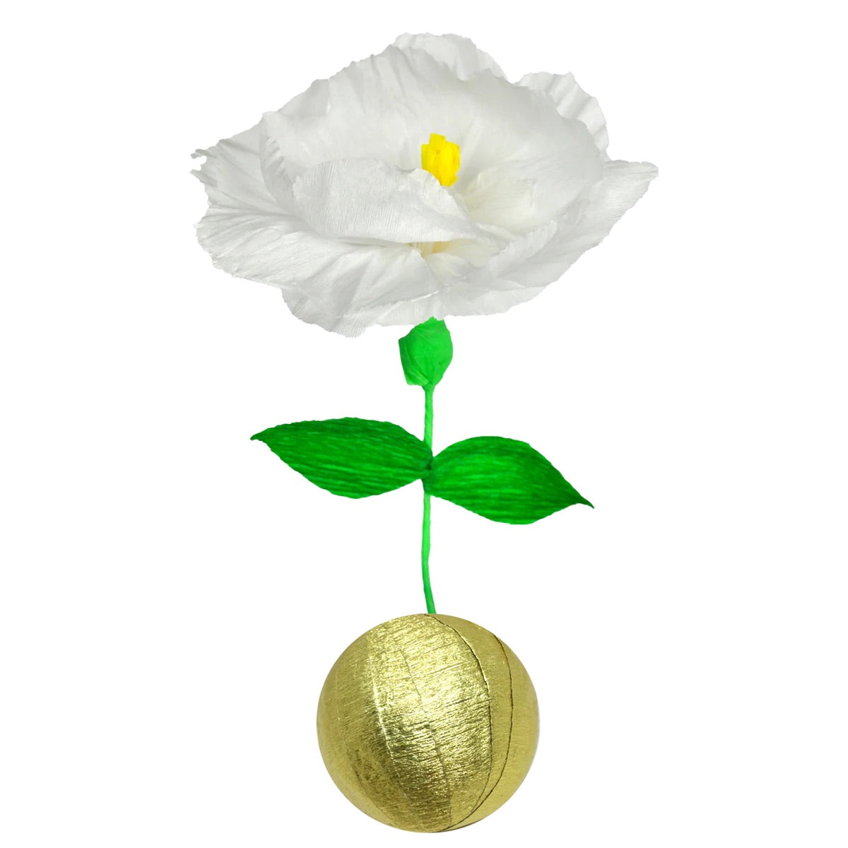 Mini Surprize Ball Flower Bulb Assorted