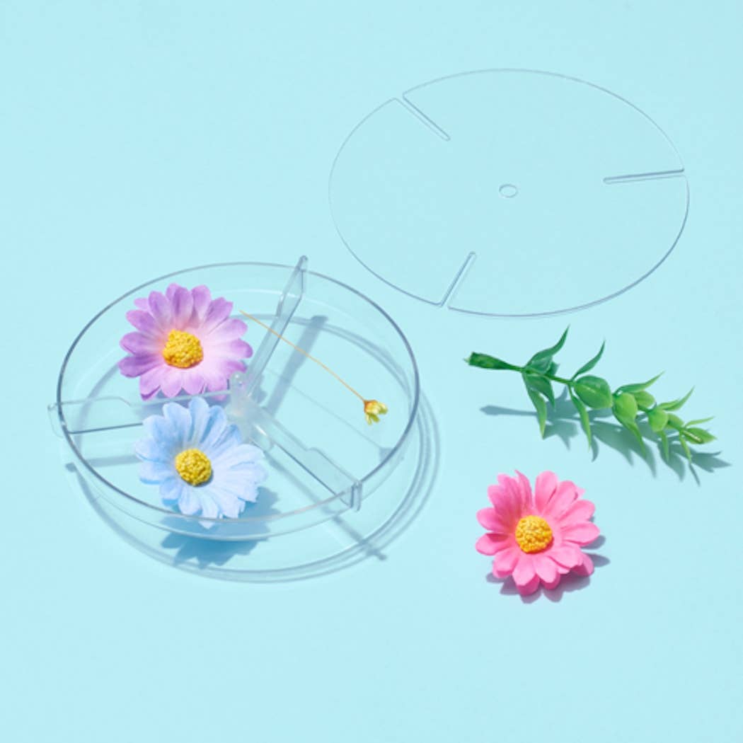 Flower-shaped earrings on a light blue background