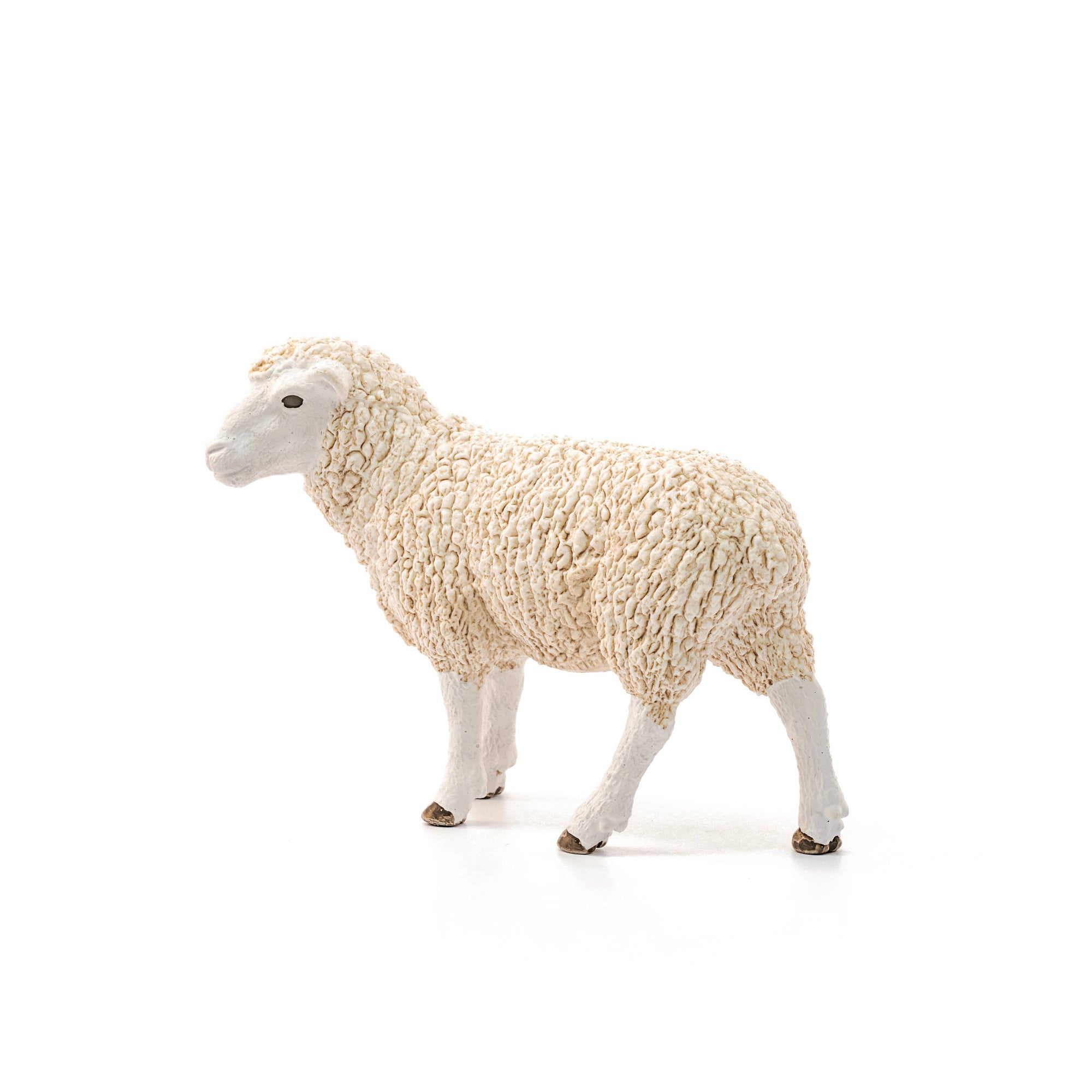 Sheep figurine on a white background