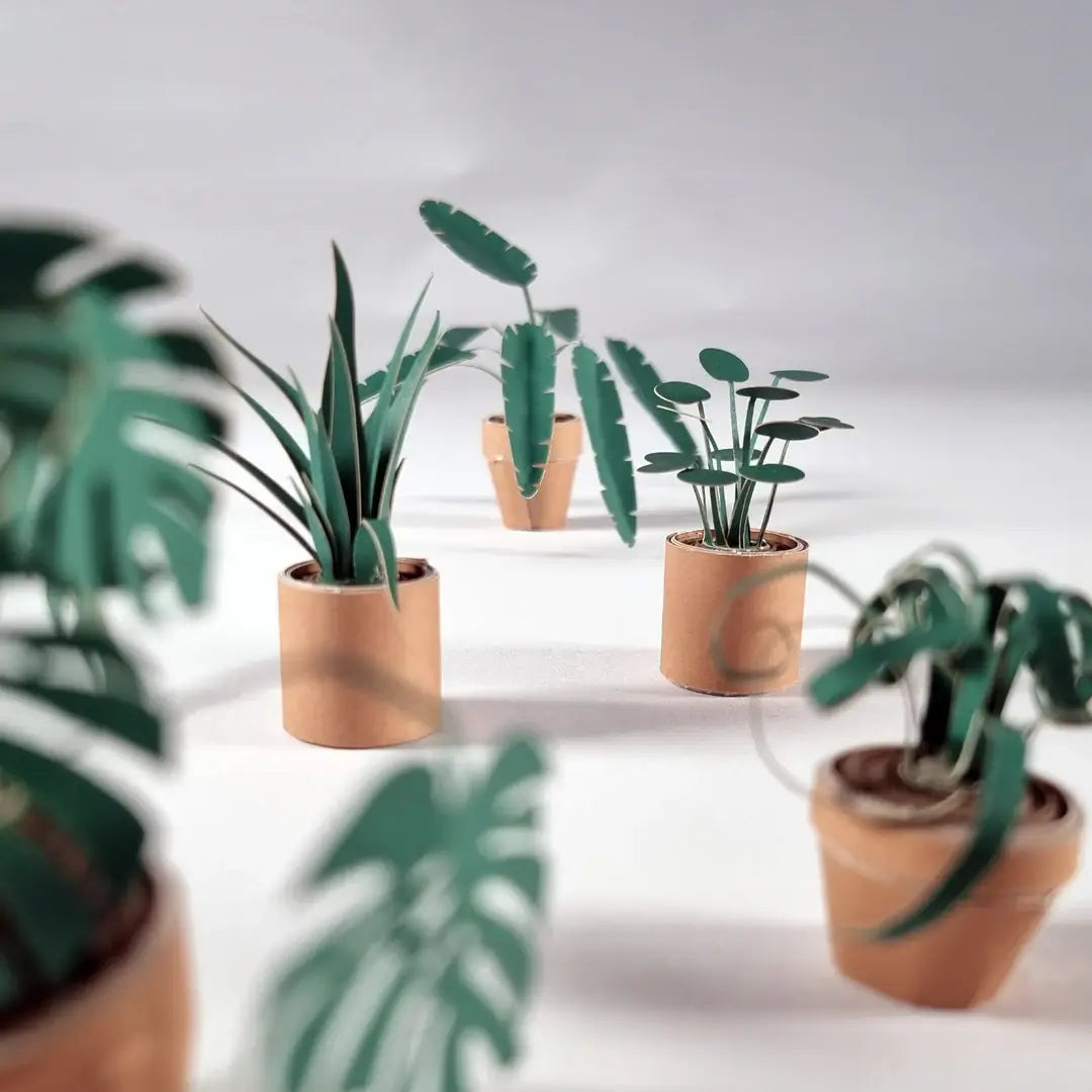 Small potted plants on a reflective surface with a light gray background