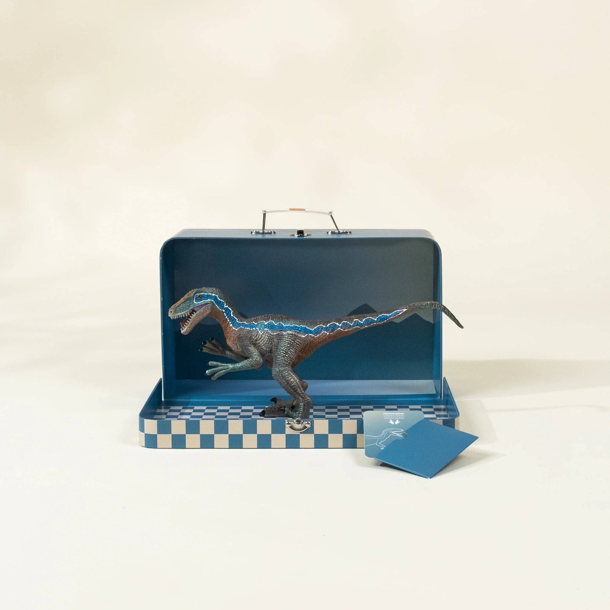 Velociraptor Dinosaur in a Collectible Box