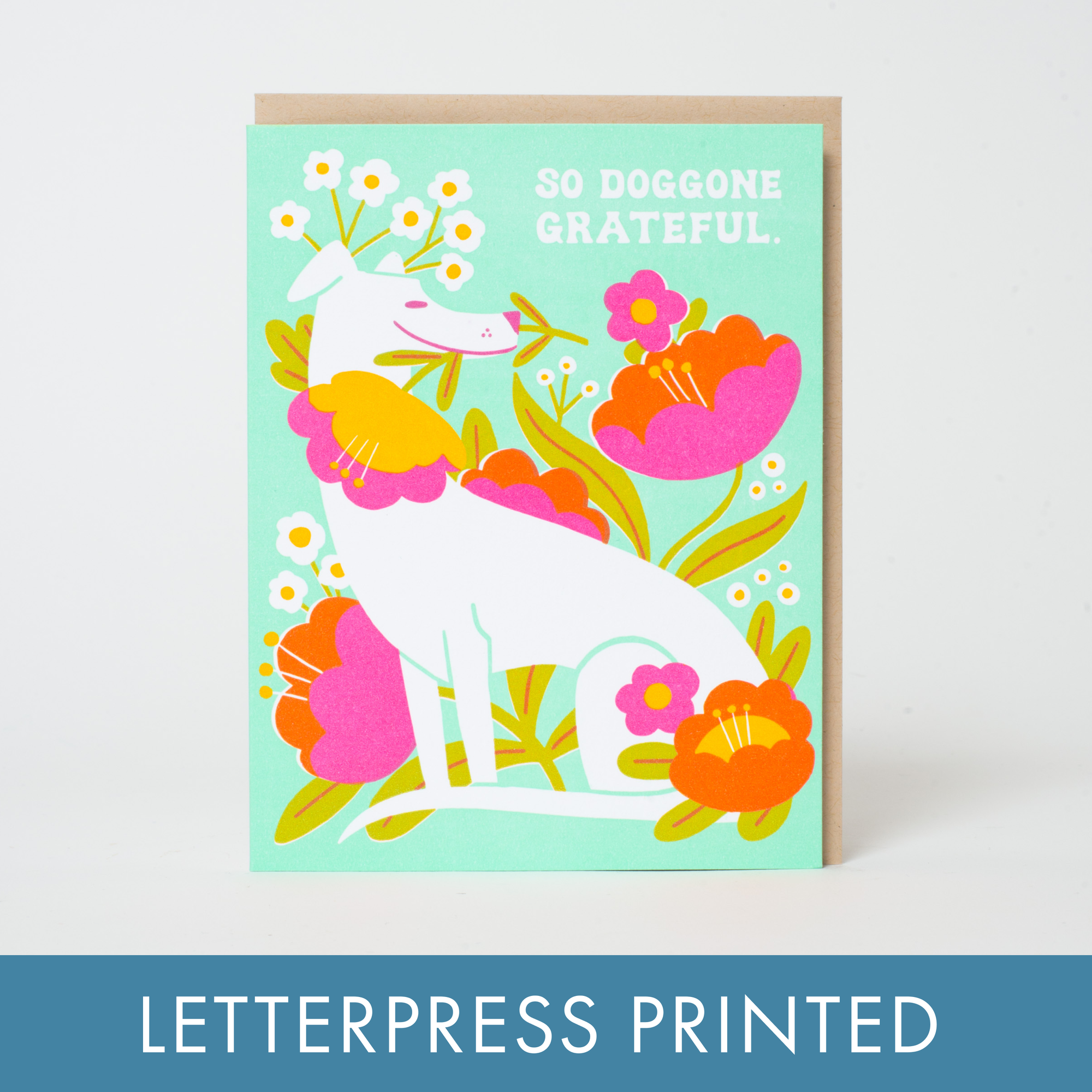 Doggone Grateful Thank You Letterpress Greeting Card by Hello!Lucky