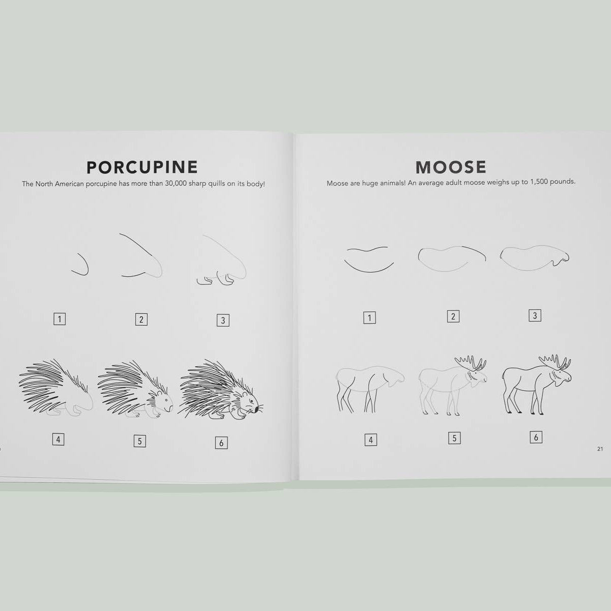 Mushrooms & Woodland Creatures: Kids How to Draw Book