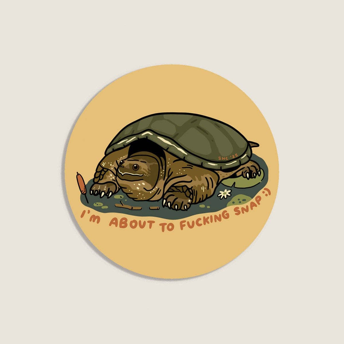 Round sticker with a turtle illustration and text on a beige background