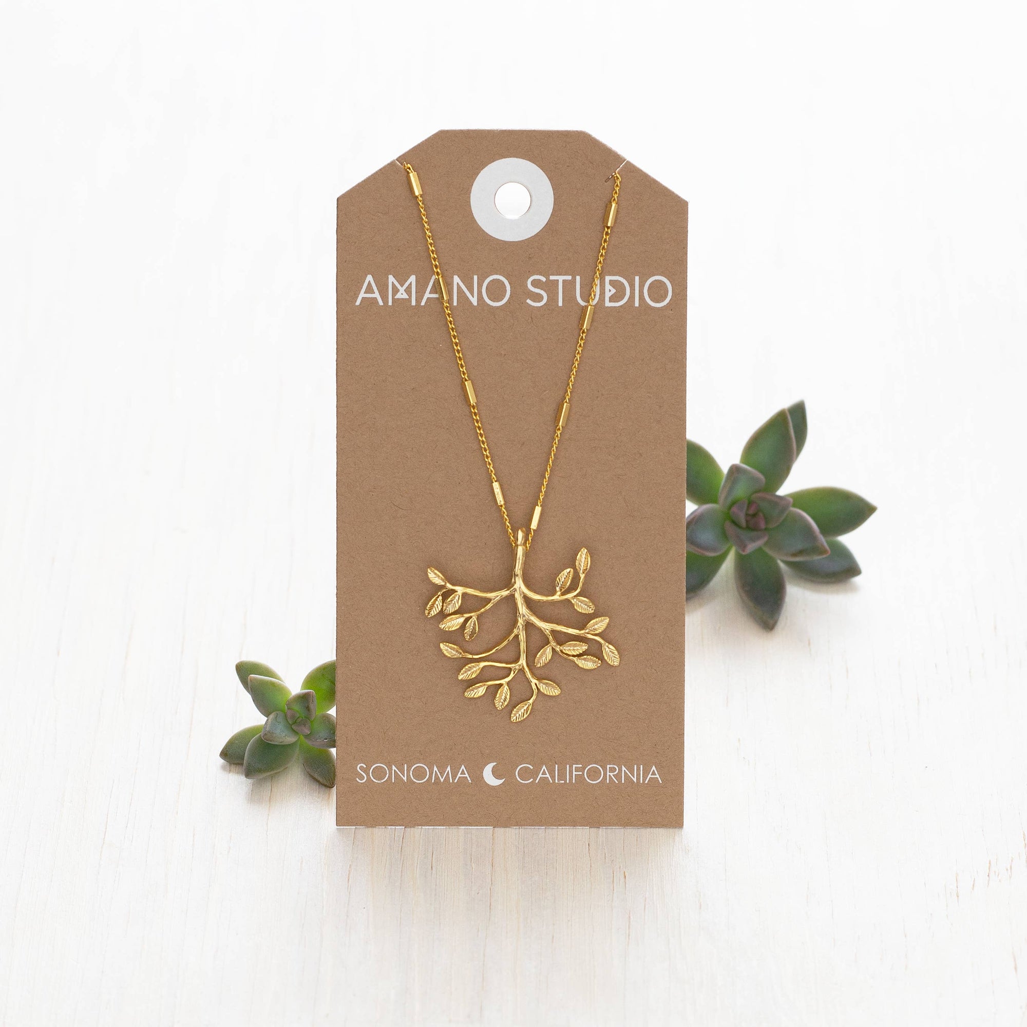 Gold necklace on a brown Amano Studio card with succulents on a white background