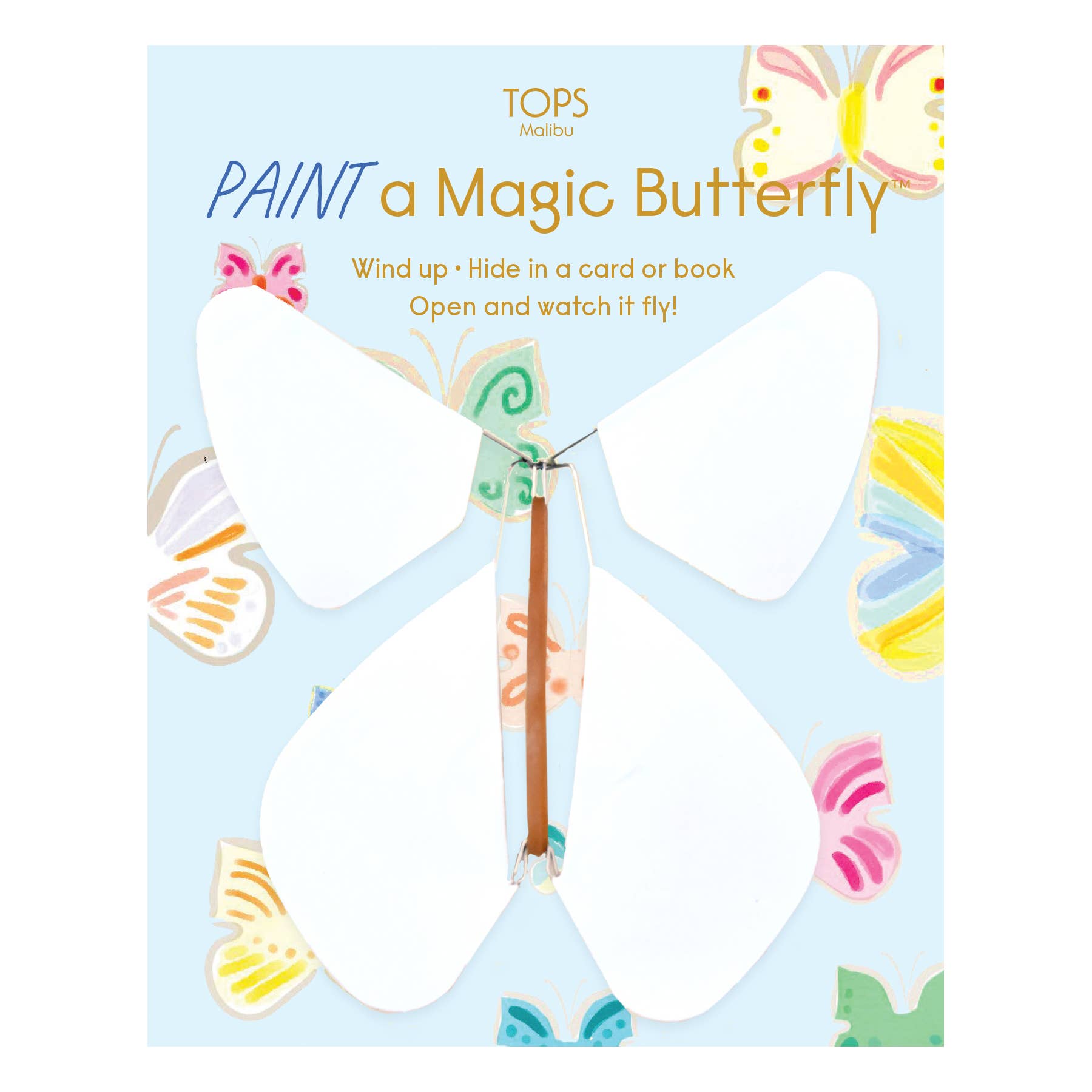Flying Magic Butterfly with Paint Set