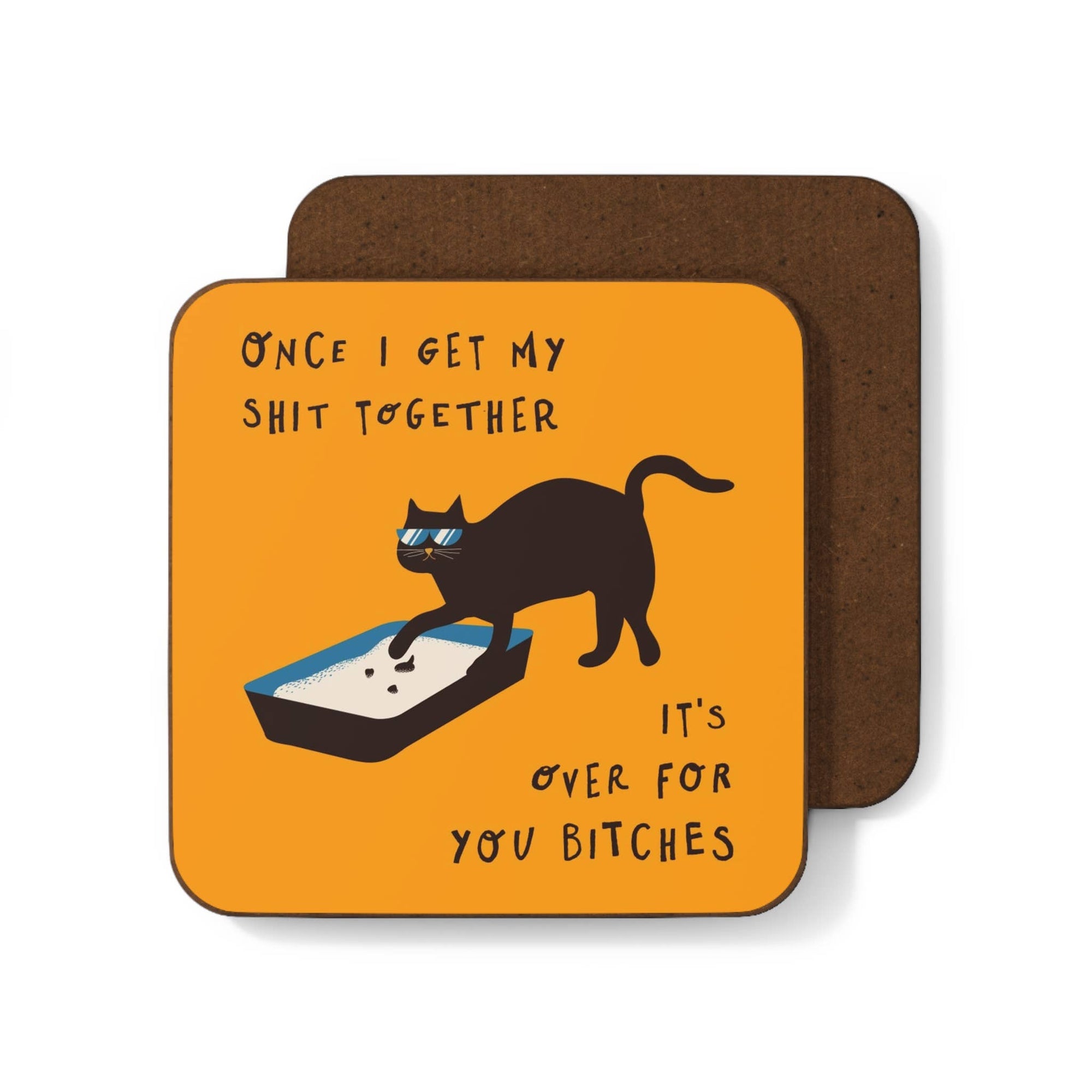 Coaster – Once I Get My Shit Together (Cat Edition)