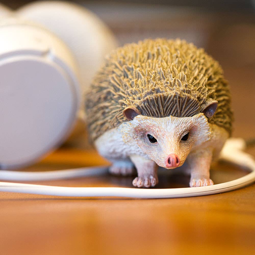 Possum with a hedgehog-like coat on a wooden surface