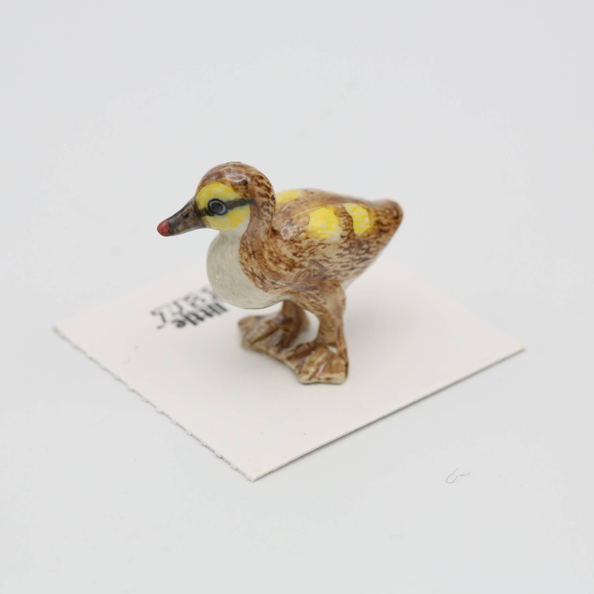 Small duck figurine on a white card with a white background