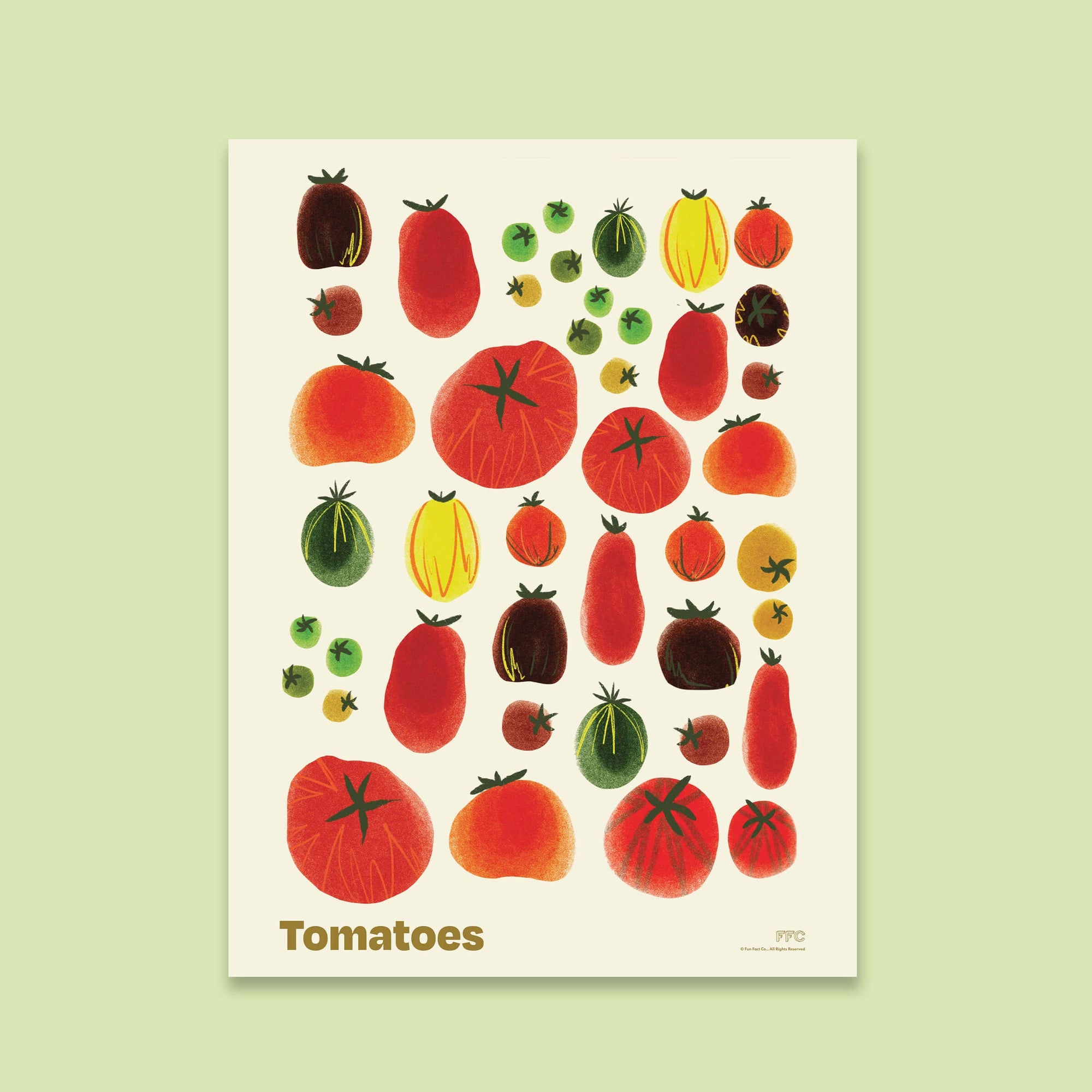 Illustration of various tomatoes on a light green background