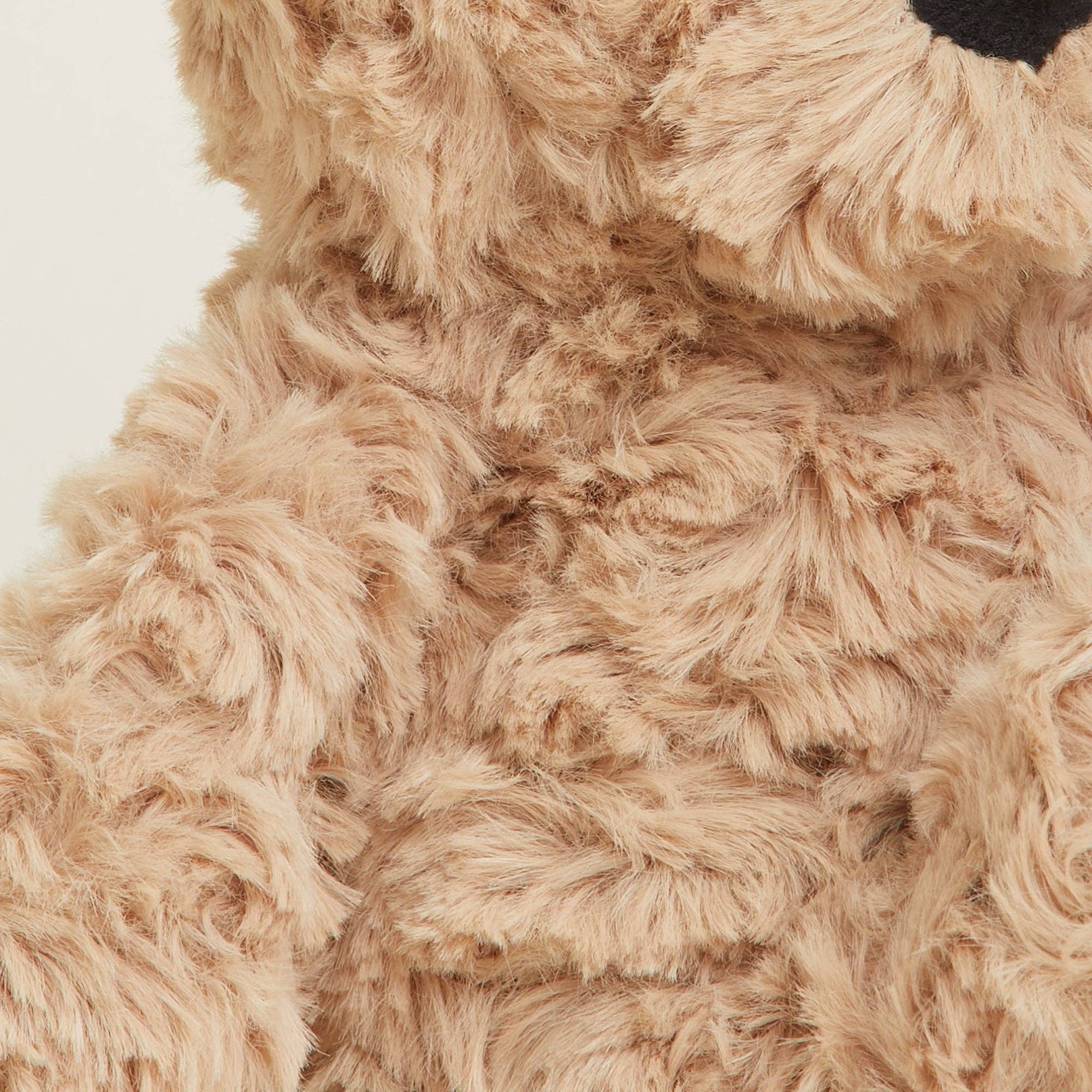 Close-up of a fluffy beige teddy bear