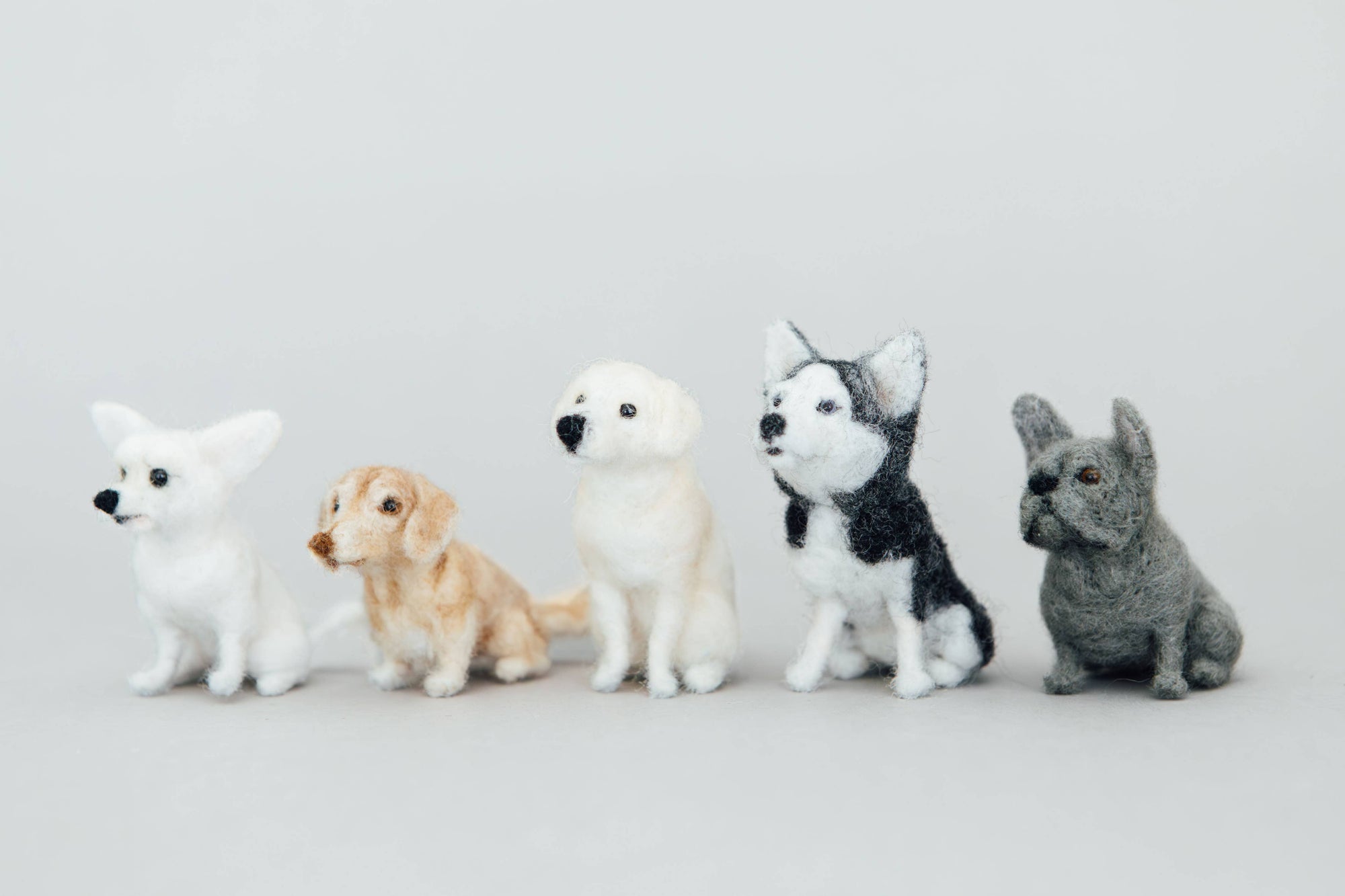Five small felt dog figurines in different breeds and colors, lined up side by side against a plain light gray background.