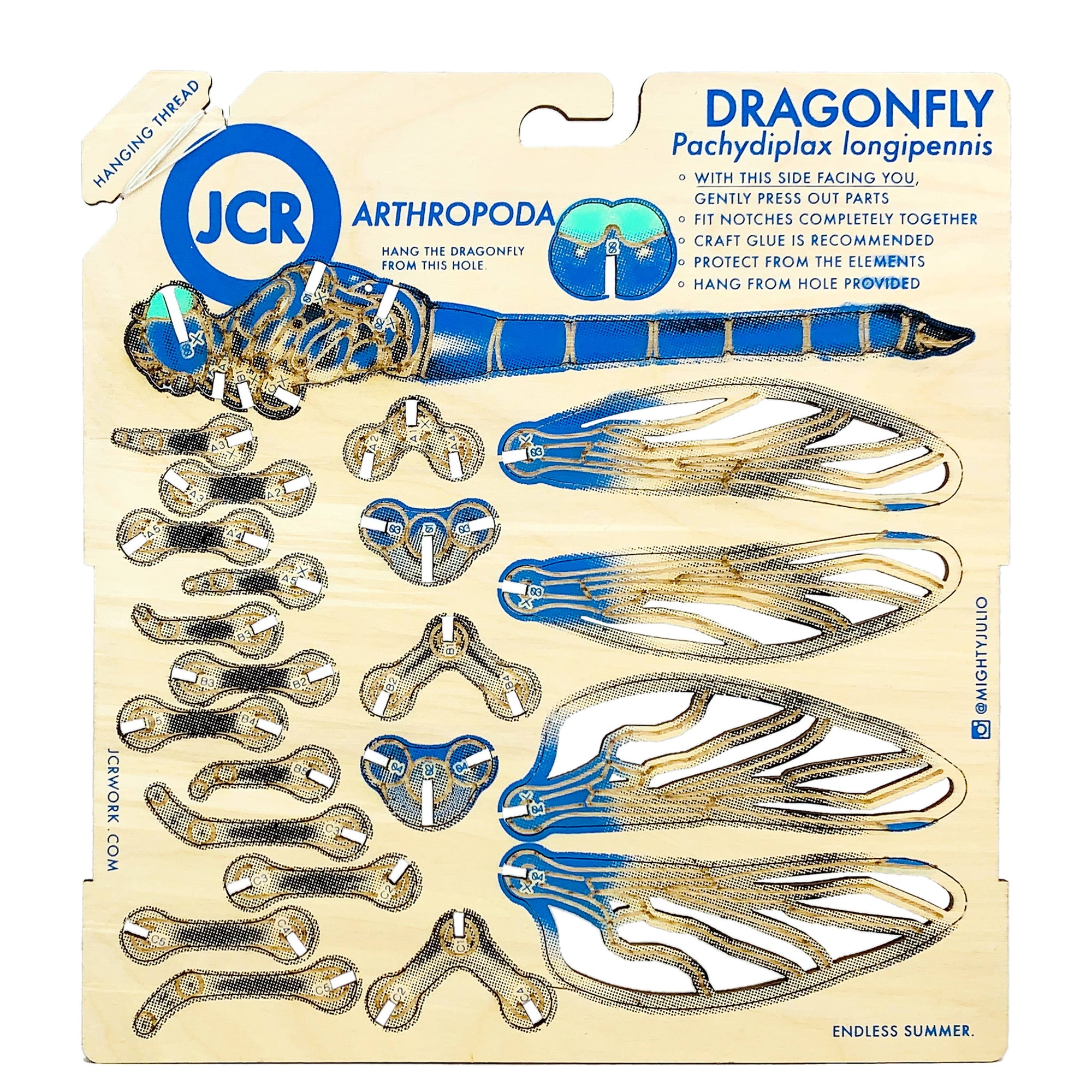 JCR Arthropoda dragonfly model kit packaging with blue and gold dragonfly illustration.
