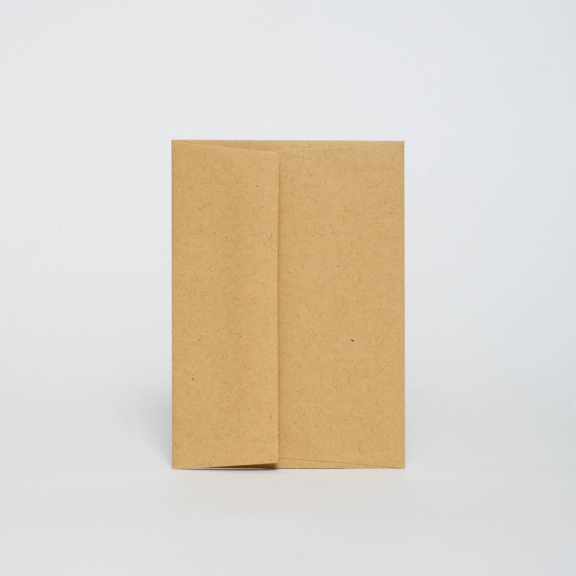 Frog Valentine Mini Letterpress Greeting Card by Phoebe Wahl