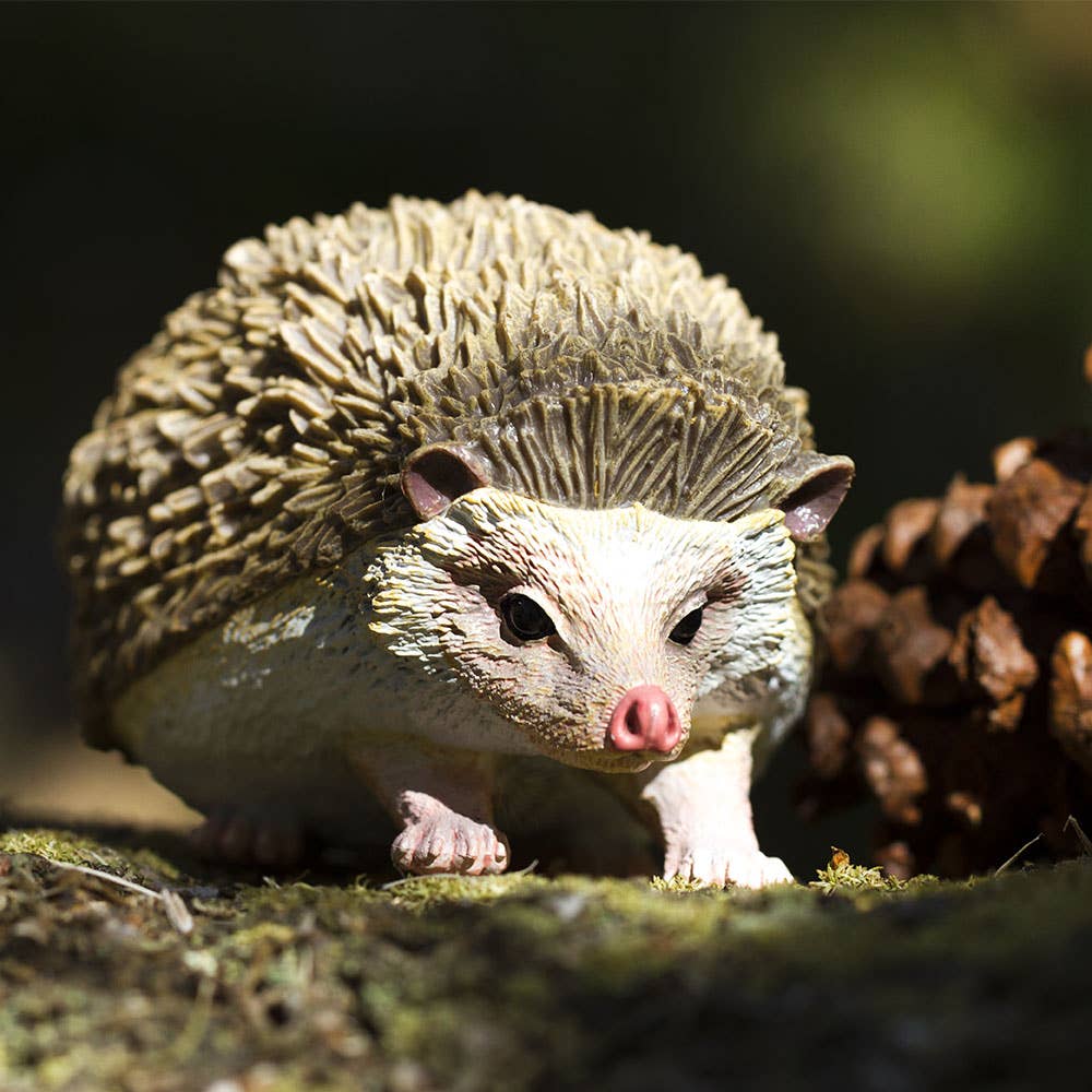 Hedgehog on a natural background with a pine cone