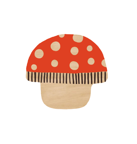 Mushroom Keyring