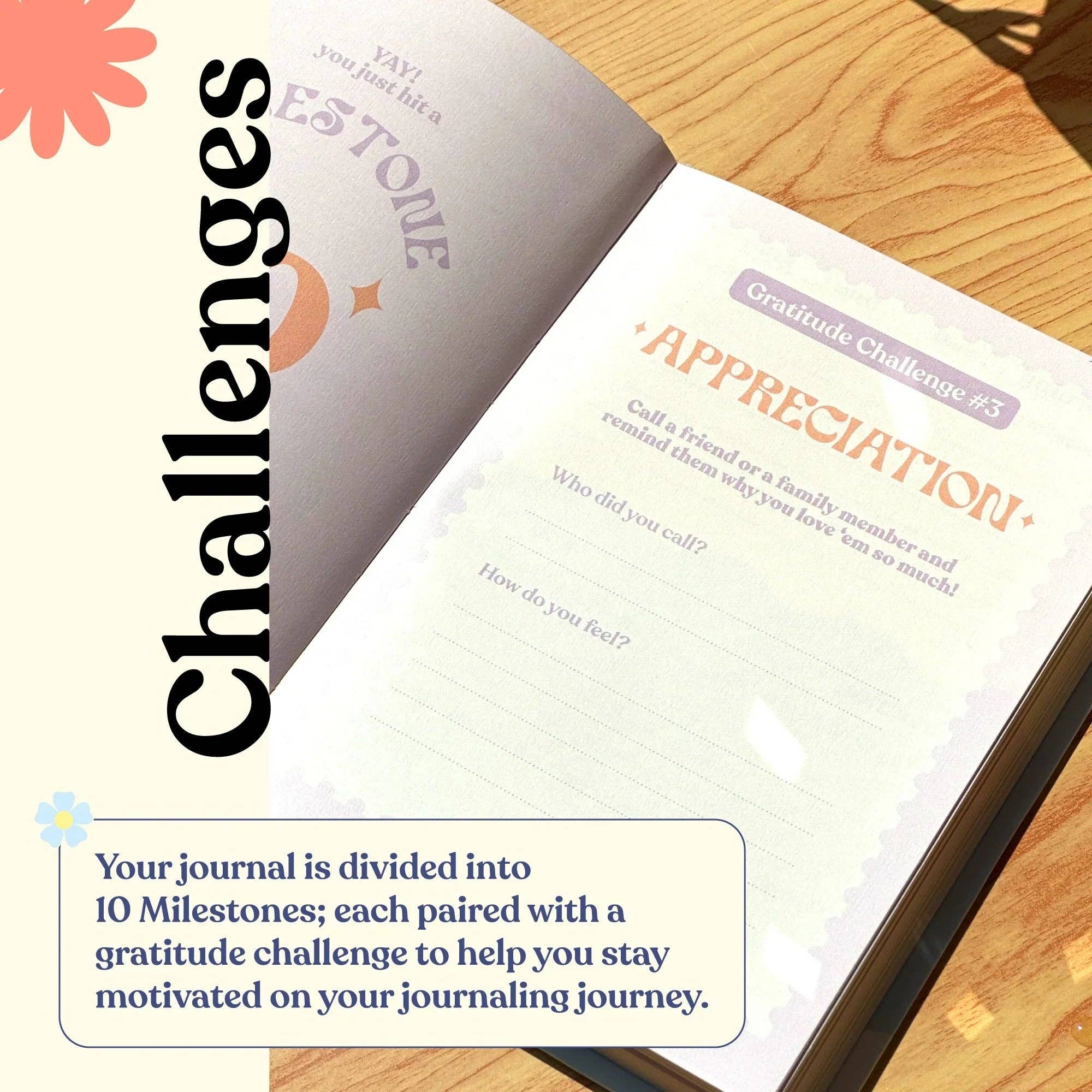 Lil Dumplin Gratitude Journal