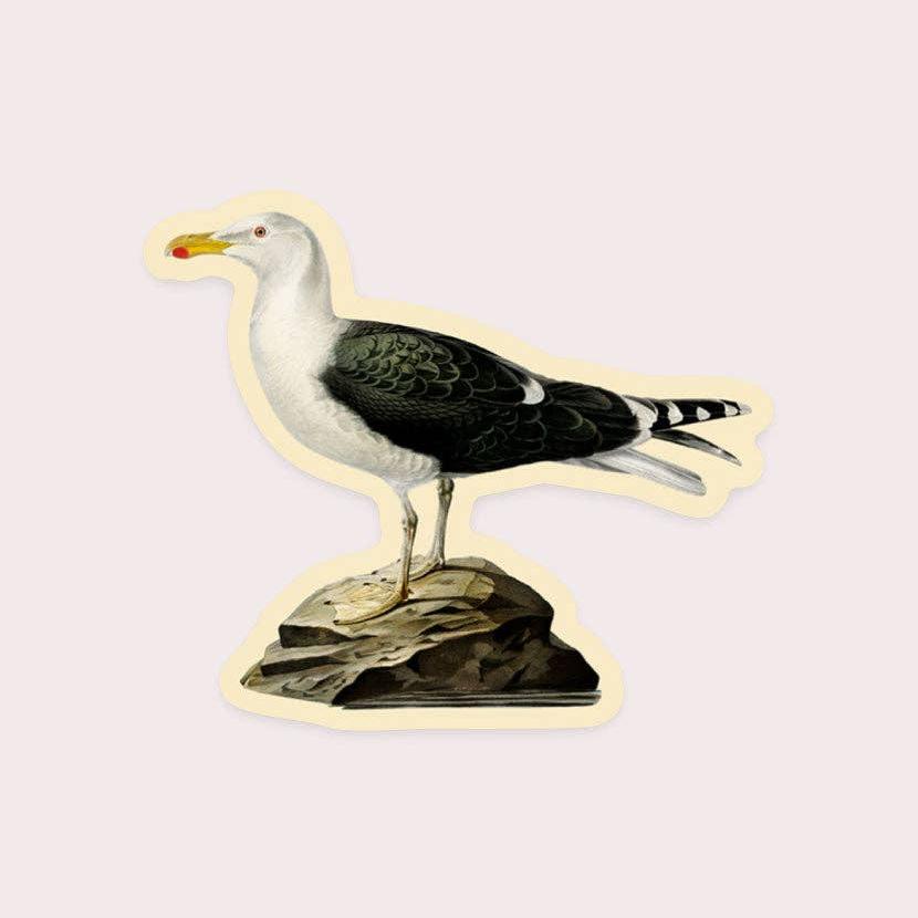 Dismayed Gull - Gap Filler Sticker