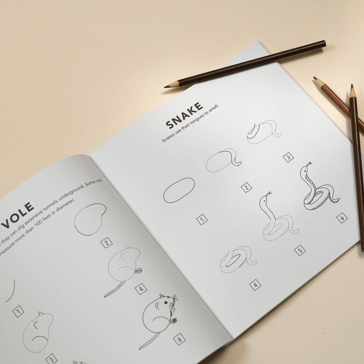 Open book with drawing instructions on a beige background