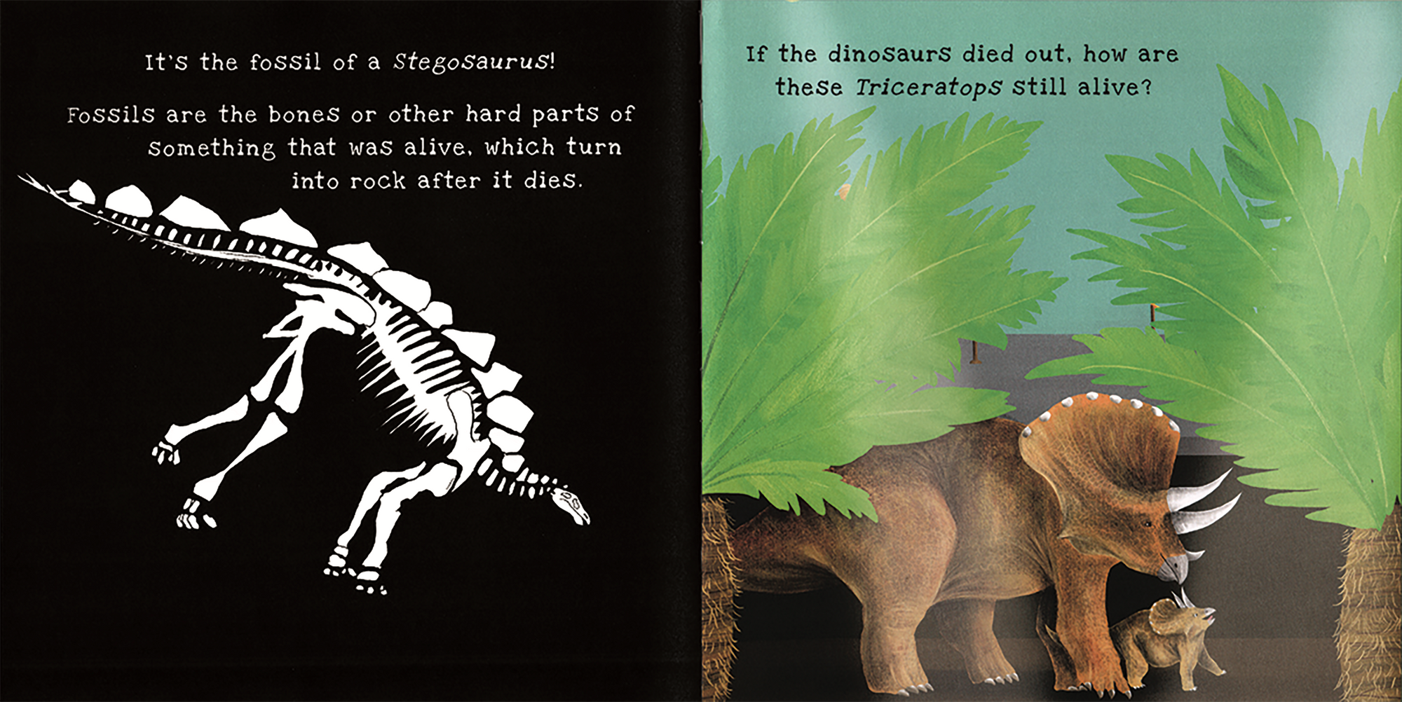Illustration of a Stegosaurus skeleton and a Triceratops in a jungle setting with text about dinosaurs.