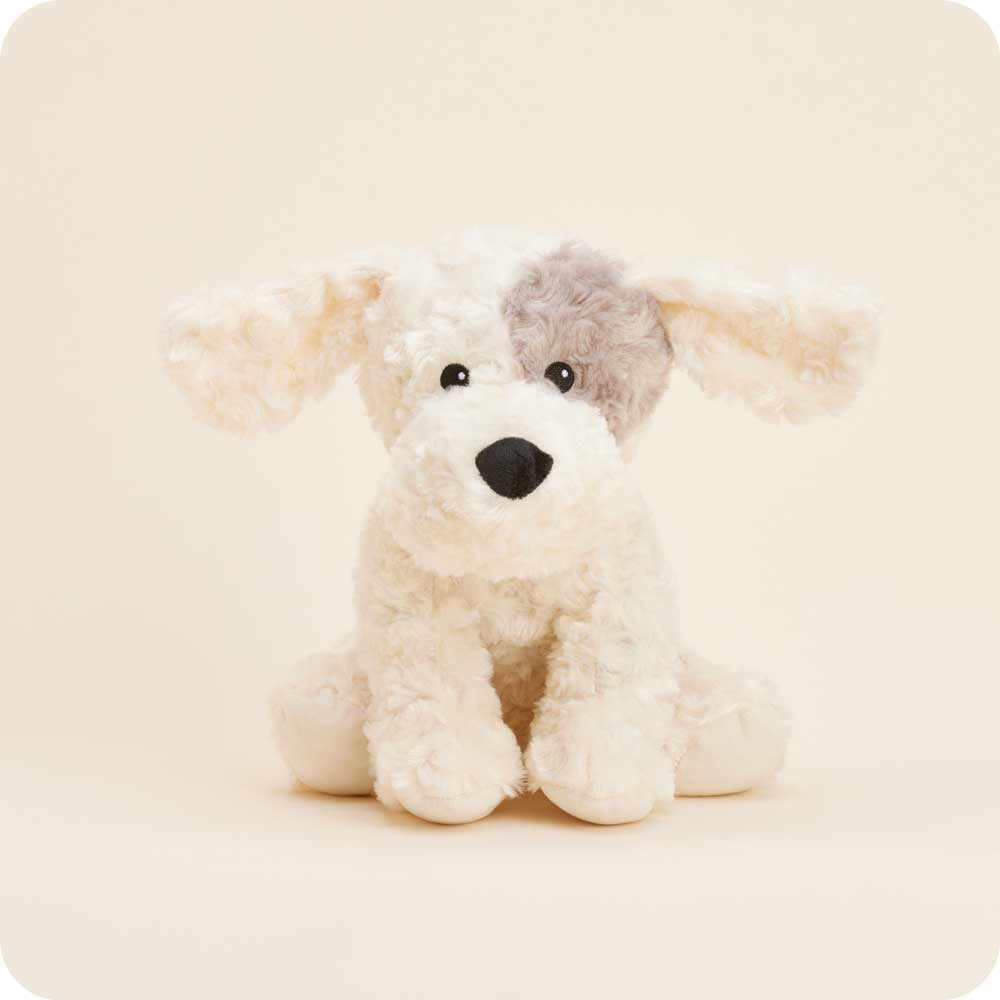 Stuffed dog toy with a neutral background