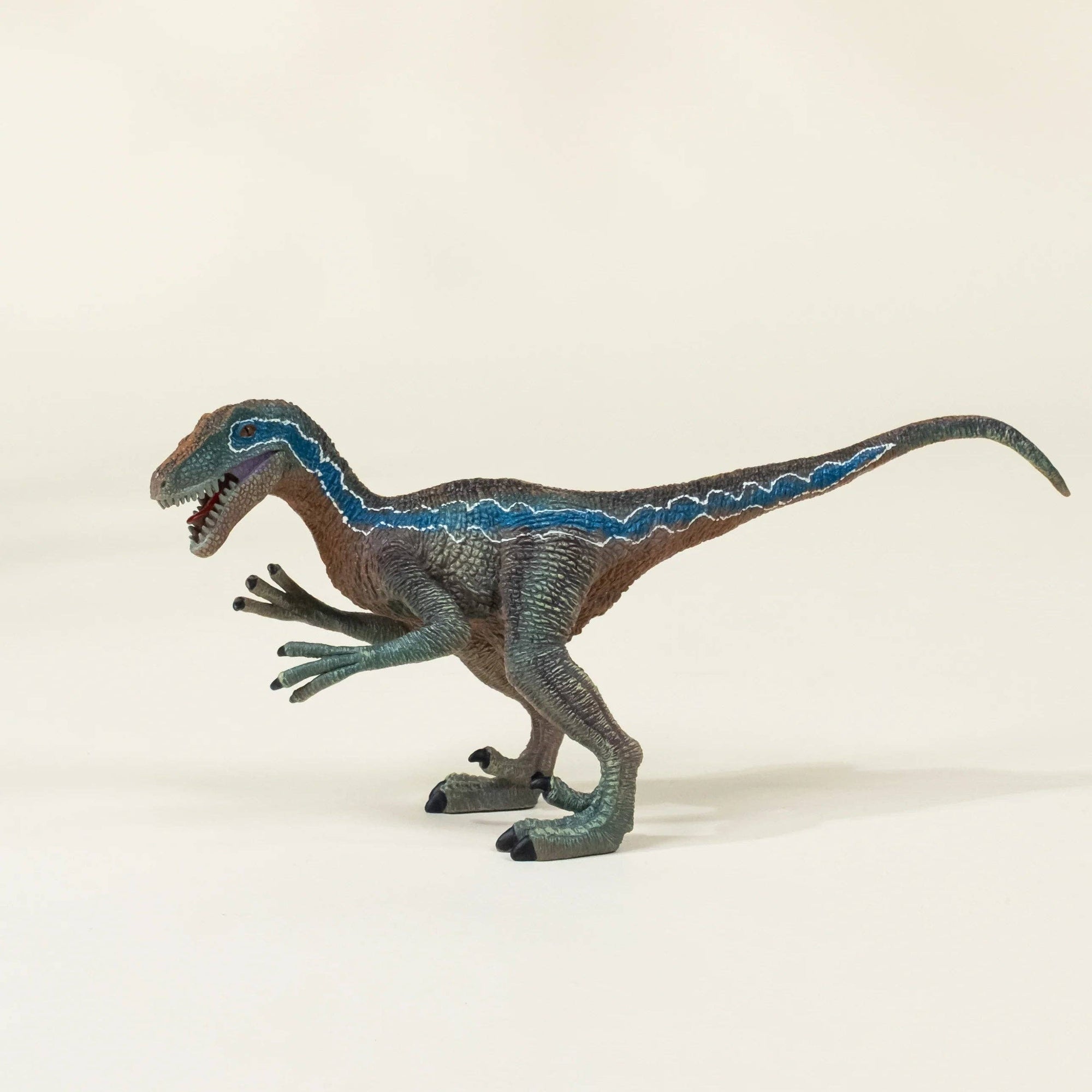 Velociraptor Dinosaur in a Collectible Box