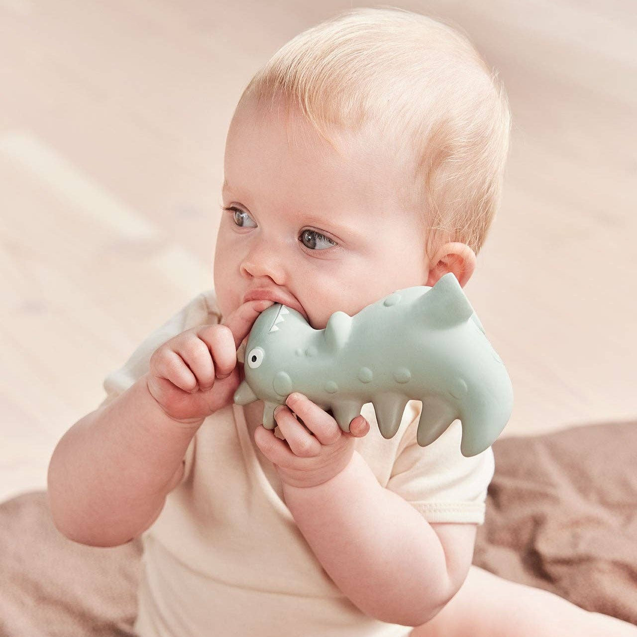 Theo Dino Teether