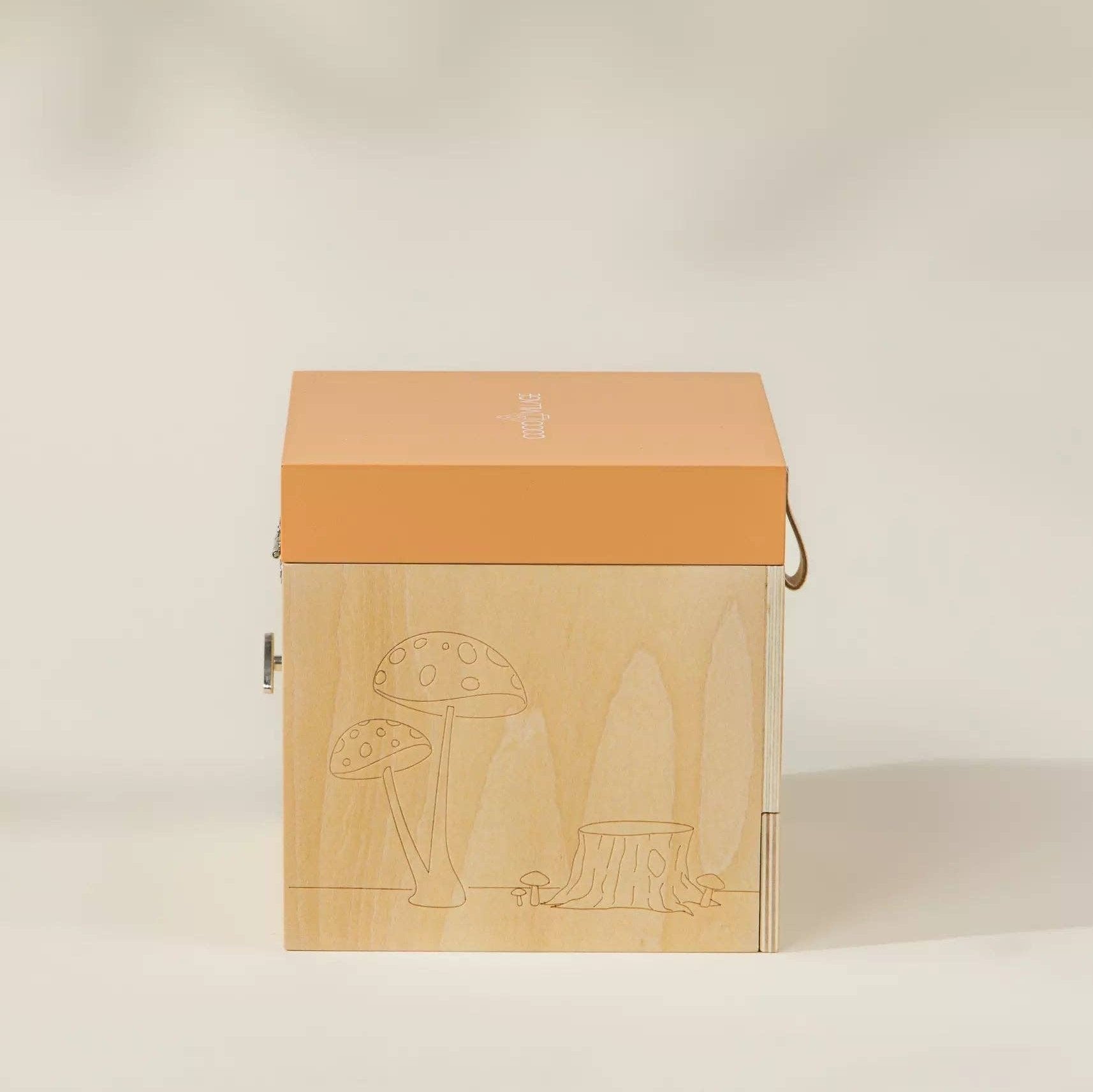Wooden Musical Souvenir Box - Nature 