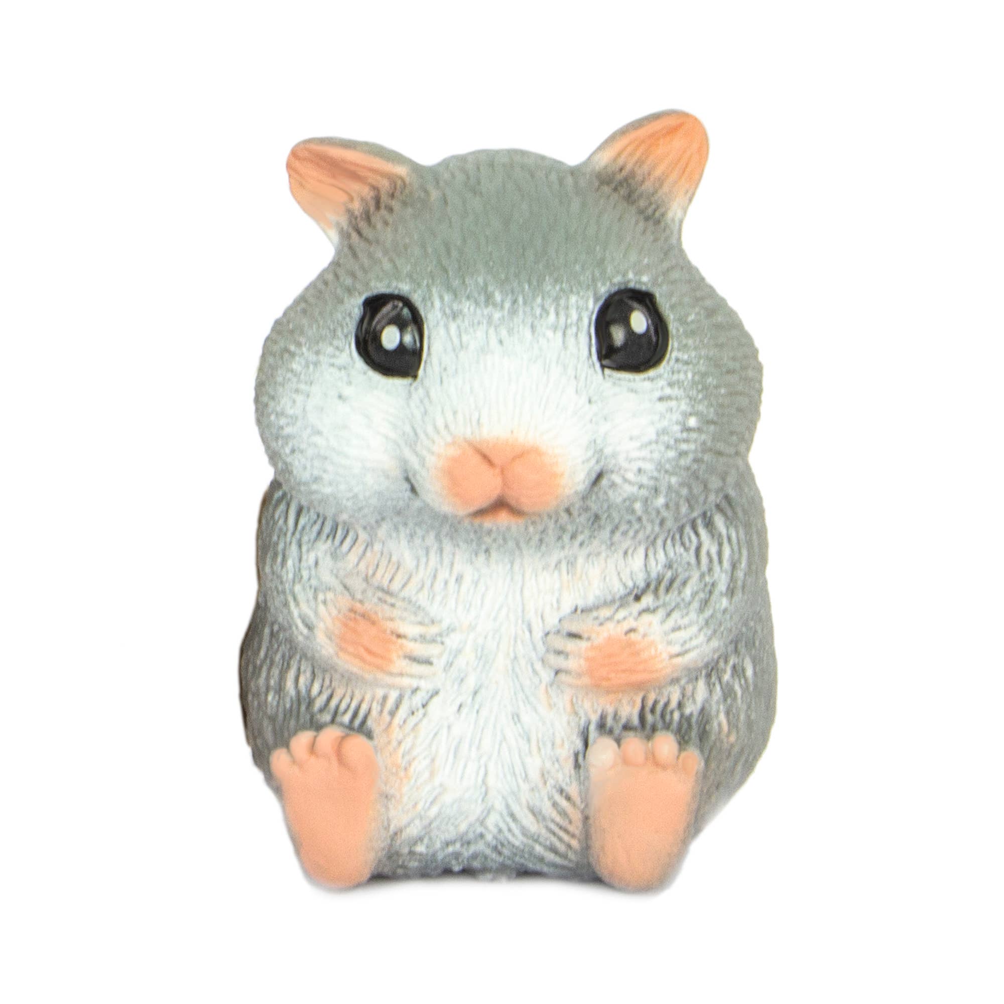 Cute Squidgy Hamster