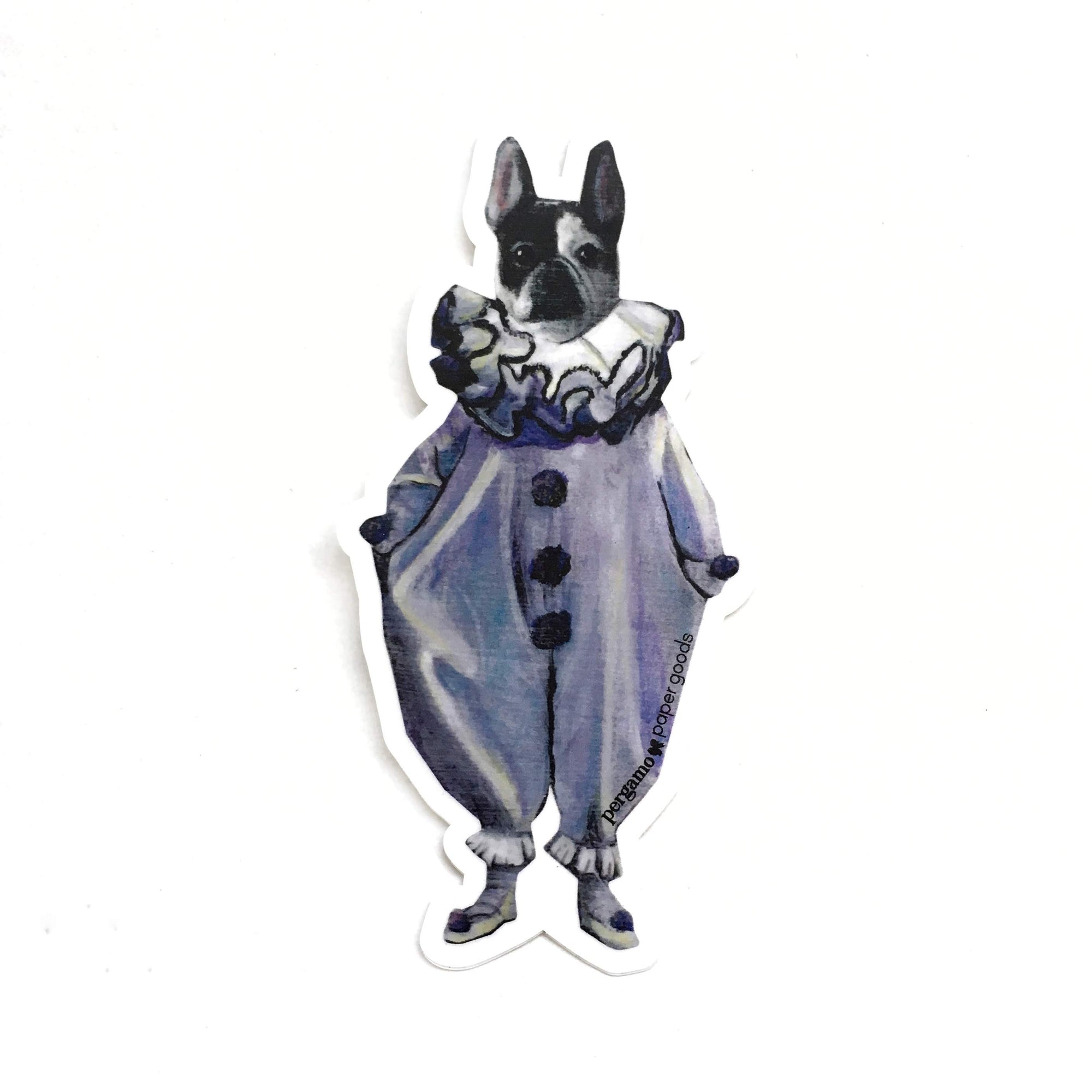 Dog in a formal outfit with ruffled shirt on a white background