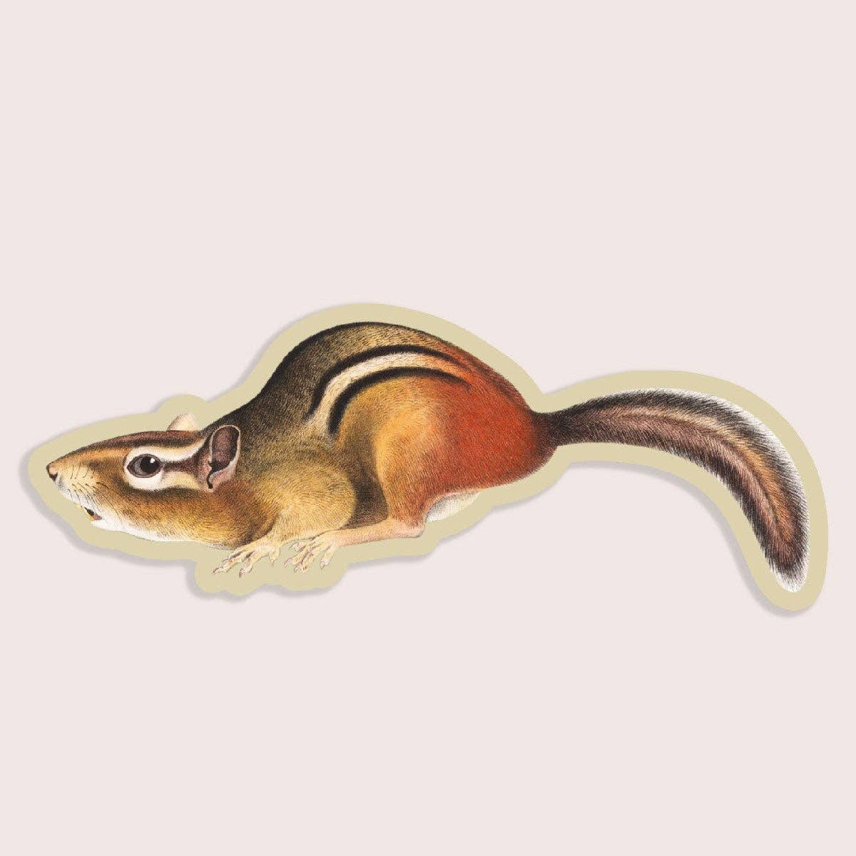 Illustration of a chipmunk on a beige background
