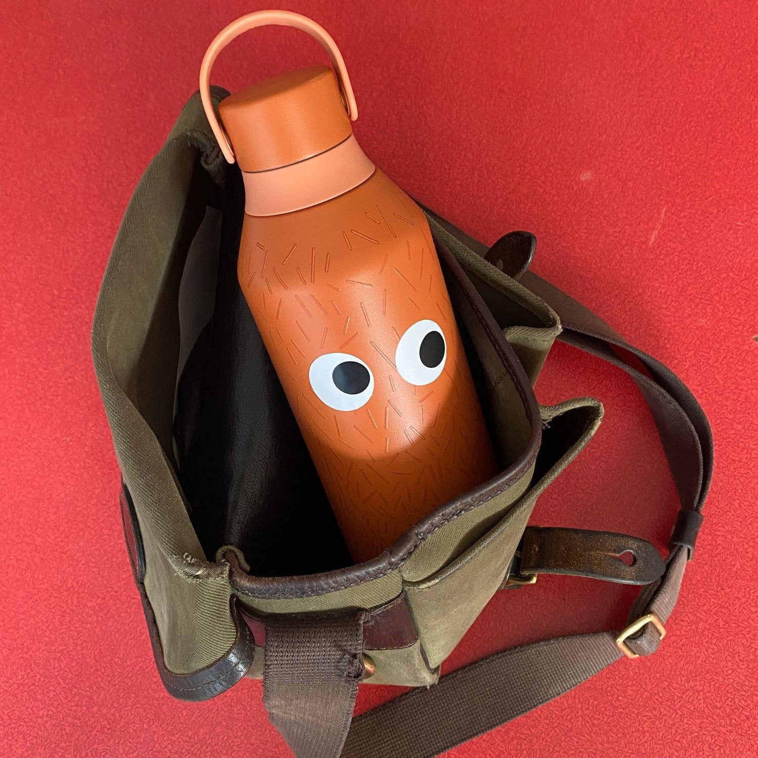 Brown bottle with googly eyes in an open green bag on a red background